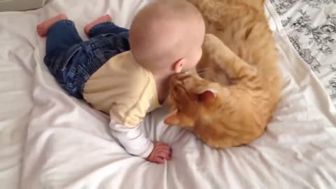 Cats Meeting Babies for the FIRST Time [NEW] Compilation