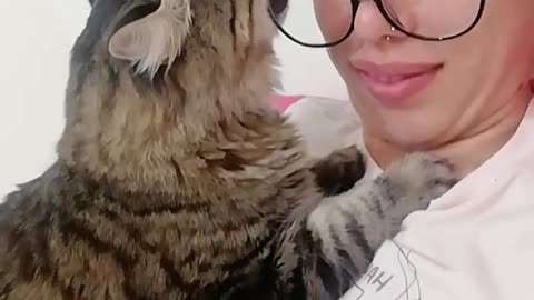 Attention Seeking Kitty Chews Glasses