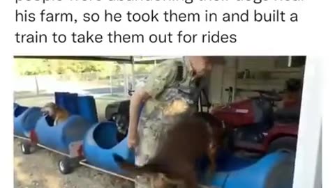 80 YR OLD RETIREE BUILDS TRAIN TO TAKE DOGS FOR RIDES