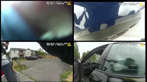 Portland police released bodycam of officers shooting man who's acting erratically, armed with a gun