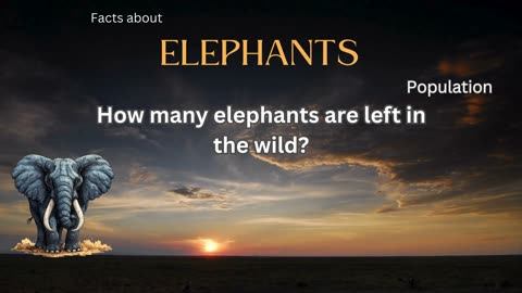 Elephant Fact 6 - How many elephants are left in the wild?