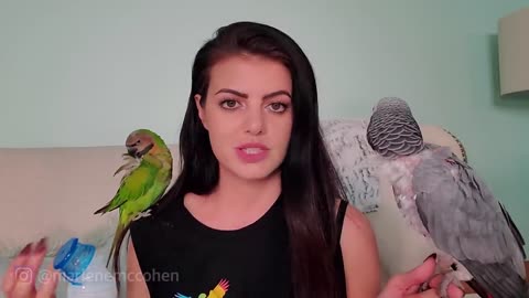 6 WAYS TO TEACH YOUR PARROT TO TALK! | PARROT TALK (Merlin Subtitles) | MARLENE MC'COHEN