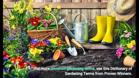 Benefits of Having a Family Garden - Questions