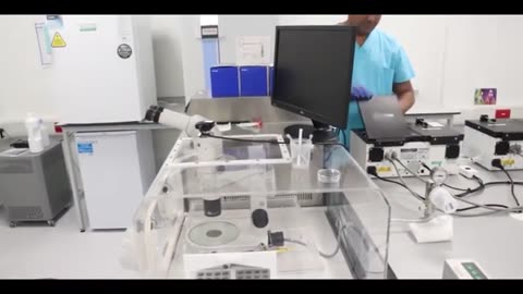 Inside the Lab Conventional IVF