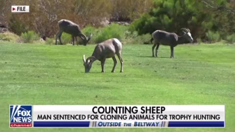 Man sentenced for cloning animals for trophy hunting