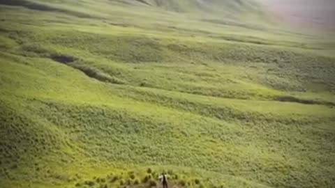 Mount Bromo Indonesia, East Java