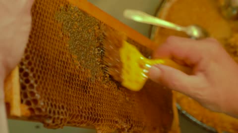 Footage of a beekeeper uncapping honey cells on the hive frames with an uncapping comb