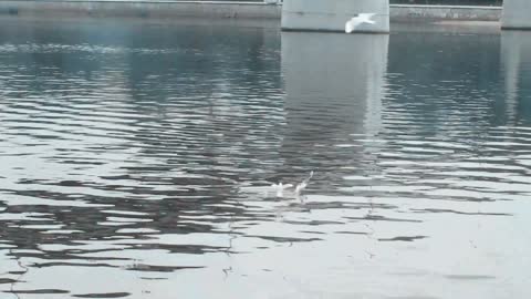 boat trip in kama river