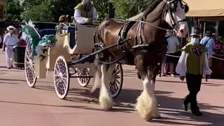 Frozen mini parade at Epcot