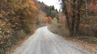 Amazing Fall Colors from a 4x4