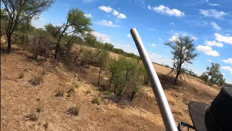 Pig Hunting Trip Central Queensland