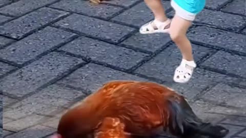 Child and hens dancing