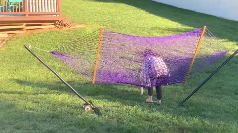 American Bully Dog Sits on Mom's Head in Hammock