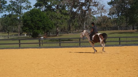 Blue Cantering