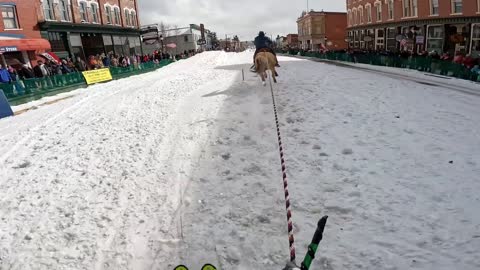 GoPro Awards Horse Skijoring