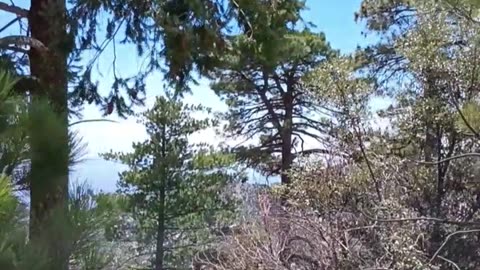 GREAT VIEW ON MT. LEMMON ARIZONA!