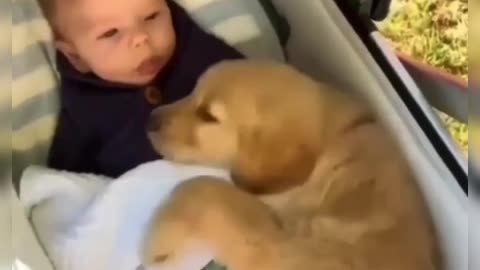 Cute Baby with Animals Don't miss the video.