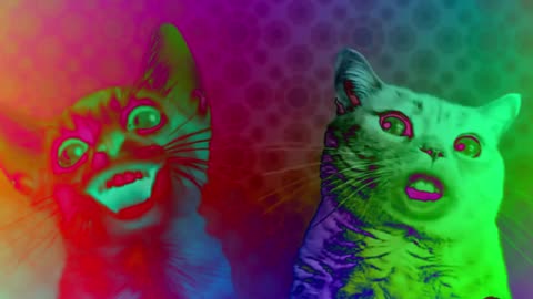 Preview 2 Numa Cat Effects 🐈 😻 🐈‍⬛️ ♥️ ❤️ 💕 🐈 😻 🐈‍⬛️