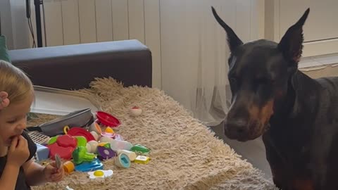 Doberman and Girl Eat Ice Cream Together