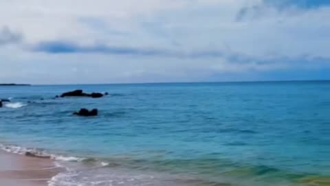 📍Makena “Big” Beach 🏖️ Maui, Hawaii 🌺