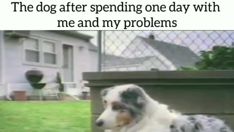 My problems