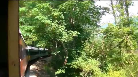 Mount Rainier Scenic Railroad