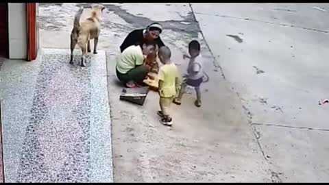 Dog saves little child from getting attacked by another 🐕