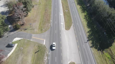 Clinch Estate, Green Cove Springs, Florida, Boundary, Topographical, and Tree Location Survey 2