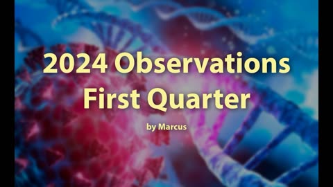 Observations 1st Quarter of 2024