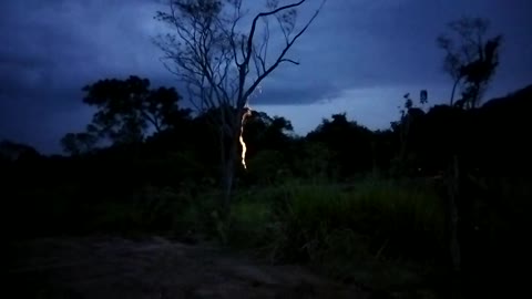 Elephants attack in the village