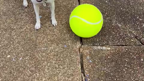 Giant Tennis Ball Princess