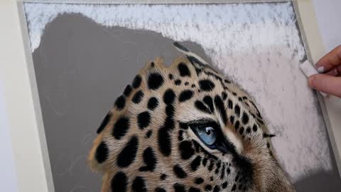 LEOPARD SPEED DRAWING | REALISTIC PASTEL ART TUTORIAL