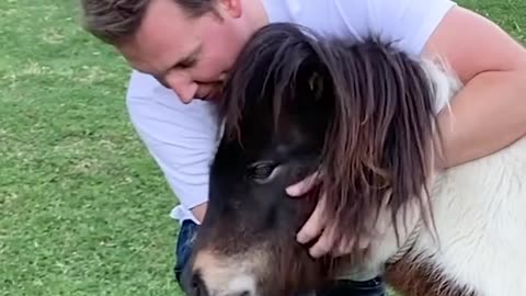 People Give Their Rescue Pets the Most Love | The Dodo Soulmates