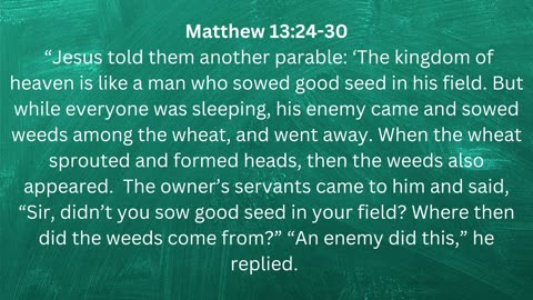 Parable of the Wheat and the Weeds