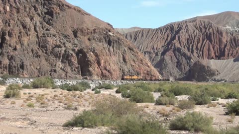 Union Pacific Trains at Gibbon Junction, NE