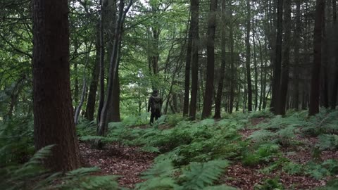 Cooking a Full English Breakfast in the Woods - Cast Iron Cook Up