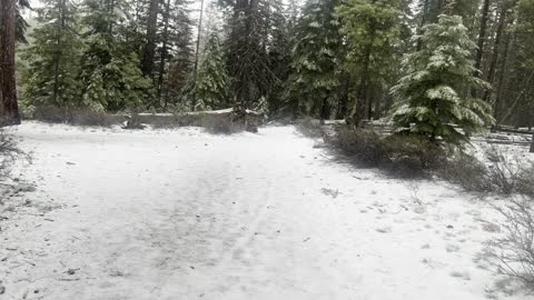 Heavy Hail Falling on Deschutes River – Central Oregon – 4K