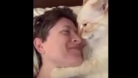 "Meow Bloopers: Hilarious Cat Fails and Hijinks that Will Make You LOL! 😸🤣"