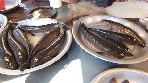 Elite Class Fish Market In Dhaka | এই বাজারের মাছ সাধারন মানুষের সাধ্যের বাইরে