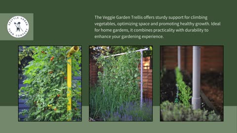 Elevate Your Harvest with the Vegetable Garden Trellis from Seattle Urban Farm Co.