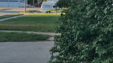 Ice Cream Truck, Dearborn, Michigan, 9/2/24