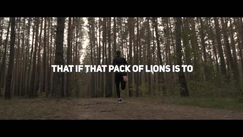 The Lion