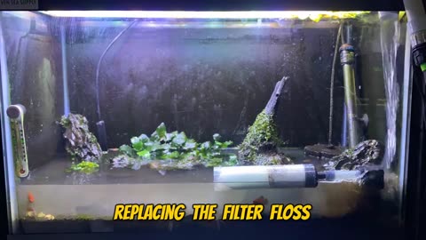 Fish tank treatment and cleaning