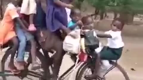 This cyclist carrying ten children on one bicycle..