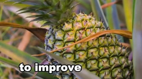 Best benefits of eating pineapple