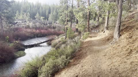 The Vibrant Deschutes River Trail – Central Oregon – 4K