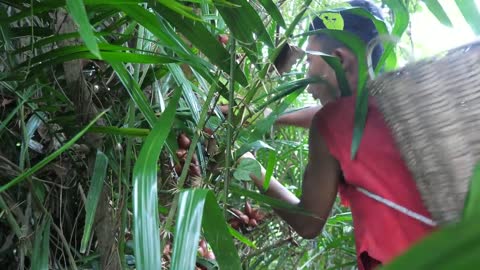 Meet the goat, and rich fruits cooking eating in jungle | Primitive technology-7