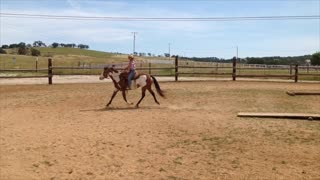 Smooth Canter departures