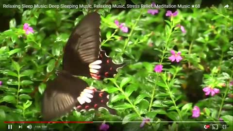 Relaxing Sleep Music Deep Sleeping Music, Relaxing Music, Stress Relief, Meditation Music