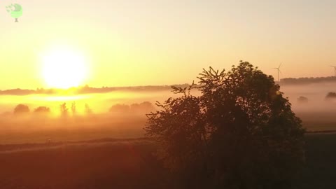 Flight over cloudy landscape with sunrise and wind turbines and trees